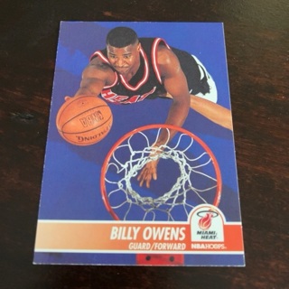 1994-95 NBA Hoops - [Base] #343 Billy Owens