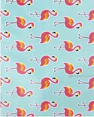 ↗️⭕SPECIAL⭕(2) FLAMINGO POLY MAILERS 6" x 9"⭕