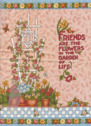 Friendship Pillow Top to Quilt and Sew, 18" Square. 100% Ctton - PIL-026a