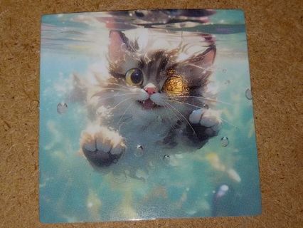 Cat New one Cute vinyl sticker no refunds regular mail only Very nice !