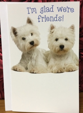 Two White Puppies Friendship Card
