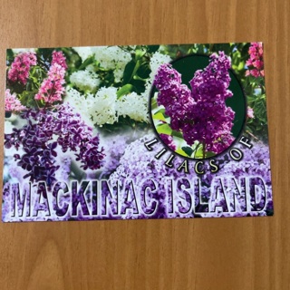 Lilacs of Mackinac Island Post Card