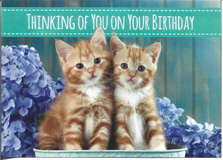 Brand New Never Been Used Greeting Card Happy Birthday With Matching Envelope 