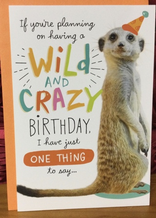 Meerkat Wearing Party Hat Birthday Card