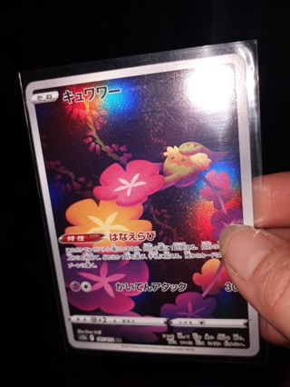 Japanese  Comfy Pokemon  Card