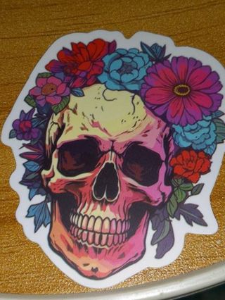 Cool new one nice vinyl lap top sticker no refunds regular mail very nice quality