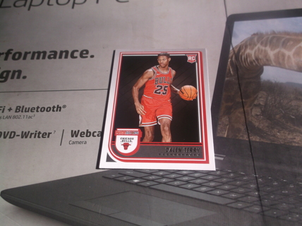 2022-23 Panini NBA Hoops     Dalen Terry    Rookie  card  #   248   Chicago Bulls