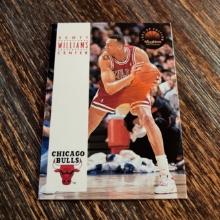 1993-94 Skybox Premium - [Base] #48 Scott Williams