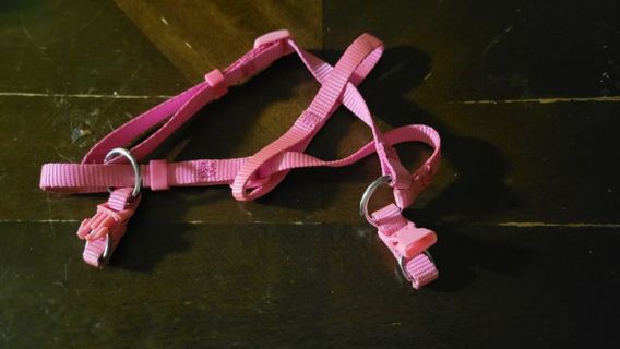 Pink small cat harness