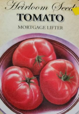 Mortgage Lifter Tomato *HEIRLOOM*