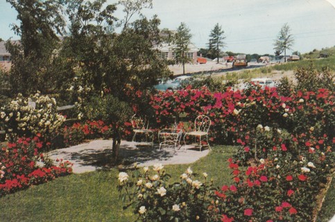 Vintage Unused Postcard: GIN: Jackson & Perkins Rose Garden, Newark, NY