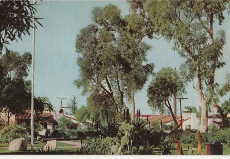 Vintage Unused Postcard: L: Old Town, San Diego, CA
