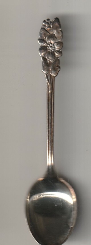 Vintage Collector Spoon: Flowers #17