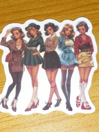 Girl new 1⃣ vinyl lap top sticker no refunds regular mail very nice quality