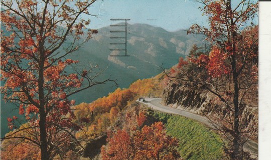 Vintage Used Postcard: C: 1966 Newfound Gap Scene, Smoky Mountains