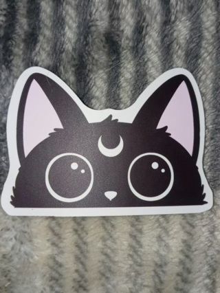 Cat Cute new vinyl sticker no refunds regular mail win 2 or more get bonus