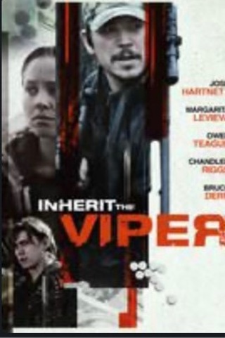 Inherit the Viper HD Vudu copy