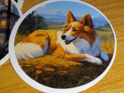 Dog nice vinyl sticker no refunds regular mail only Very nice quality!