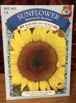 Sunflower Mammoth Russian Seeds