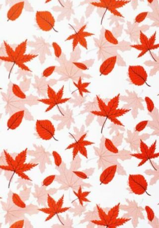 ↗️⭕(1) MAPLE LEAVES Poly Mailer 10x13"
