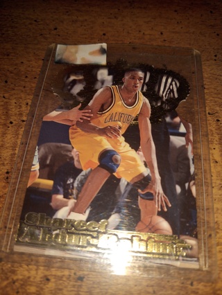 NBA veteran Shareef Abdur Rahim rookie 