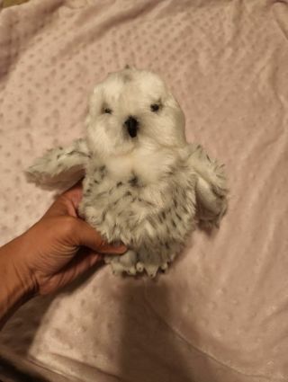 White owl plush