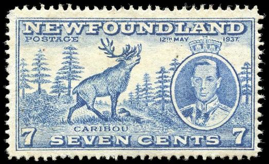 Two 1937 MNH Newfoundland Stamps