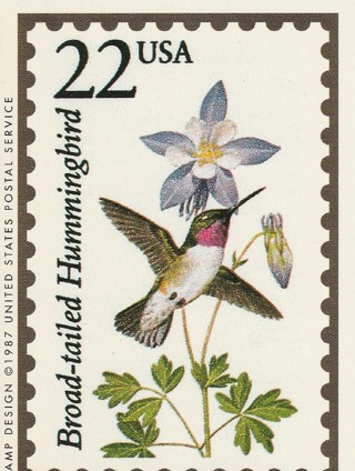 Vintage Wildlife America Collector/Trade Card: Broad Tailed Hummingbird