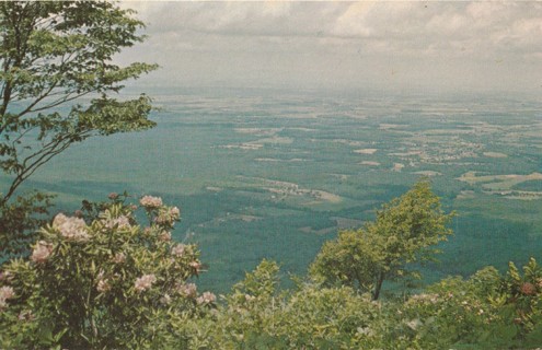 Vintage Unused Postcard: z: Shenandoah Valley & Waynesboro, VA