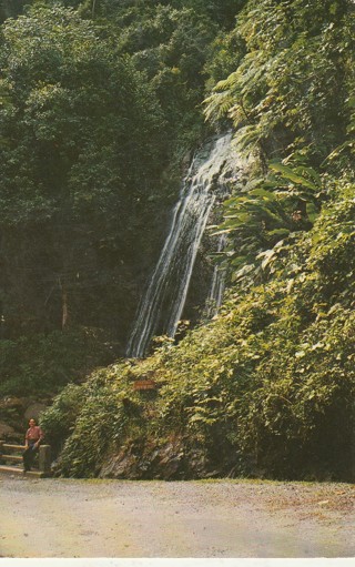 Vintage Unused Postcard: c: Coco Falls, Puerto Rico