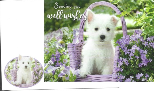 Brand New Never Been Used .Get Well Greeting Card With Matching Envelope