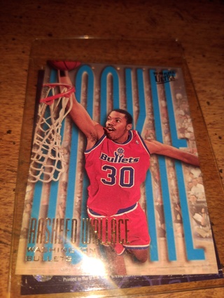 Two card lot basketball veteran Rasheed Wallace one rookie included 