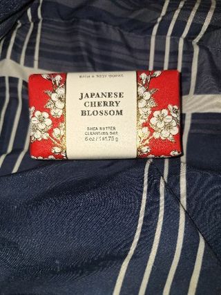 BBW Japanese cherry blossom