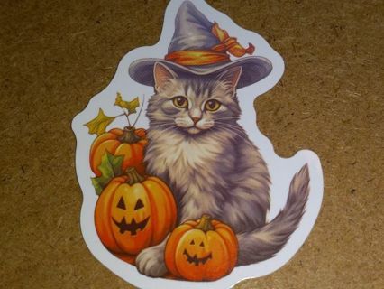 Cat Cute new one vinyl sticker no refunds regular mail only Very nice these are all nice