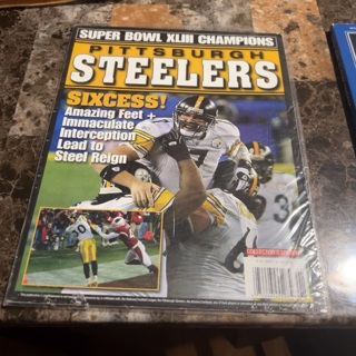 Steelers book