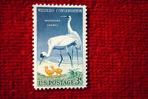  Scotts #1098 MNH/OG 1957 "Whooping Cranes" U.S. Postage Stamp. 