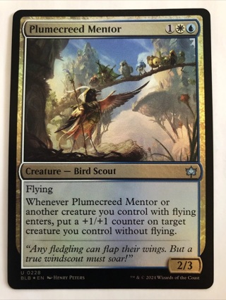 MTG Bloomburrow Plumecreed Mentor Foil 0228