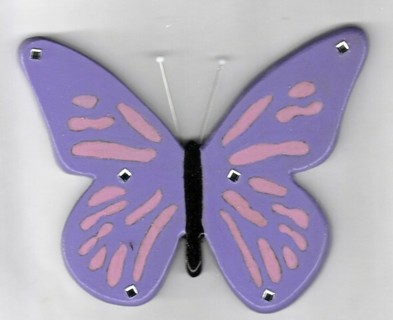 LARGE BUTTERFLY MAGNET C2 (PLEASE READ DESCRIPTION) 