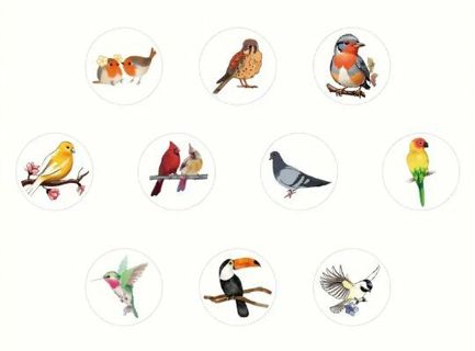 ↗️NEW⭕(10) 1" BIRD STICKERS!!⭕ (SET 3 of 3)