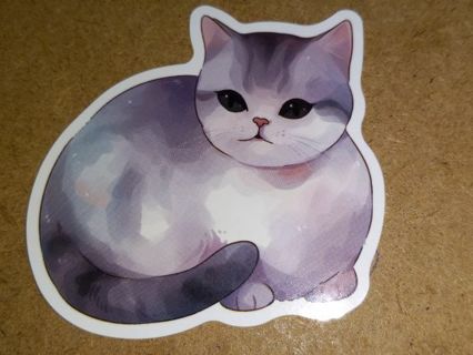 Cat Cute new vinyl sticker no refunds regular mail only Very nice