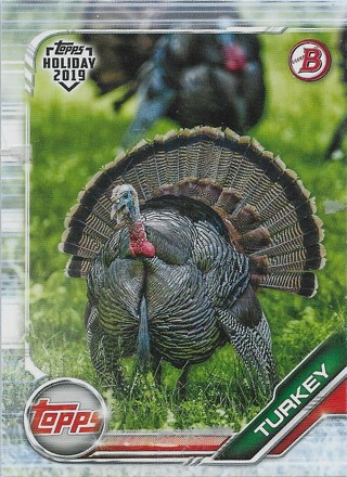  2019 Topps Bowman Holiday #THT Turkey