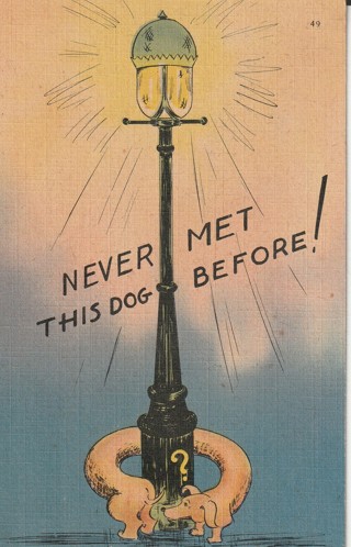 Vintage Unused Postcard: d: Comic: Never Met This Dog Before