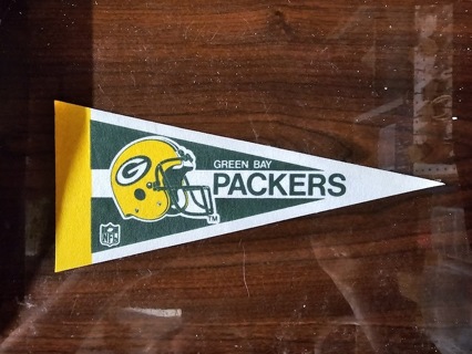 Green Bay Packers 4" X 9" Pennant