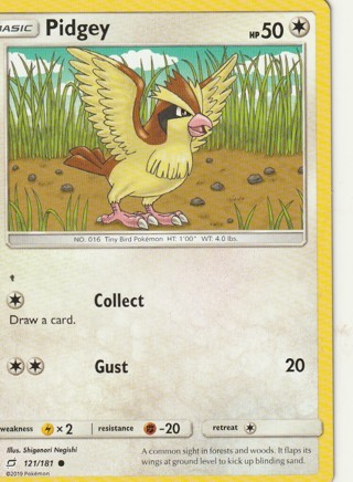 Pokemon Card: Pidgey