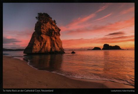 Postcard - Magic nature - New Sealand  fresh and unused from postcard calendar