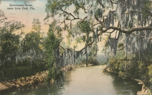 Vintage Used Postcard: d: 1940 Suwannee River near Live Oak, FL