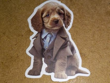 Dog Cute nice vinyl sticker no refunds regular mail only Very nice quality!