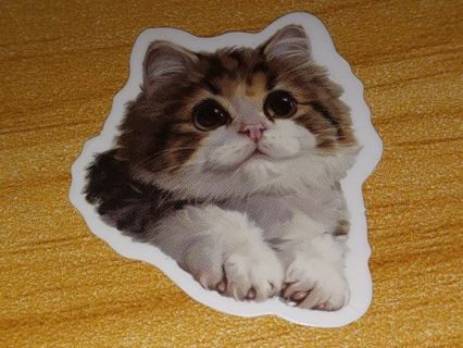 Cute one new small vinyl laptop sticker no refunds regular mail only