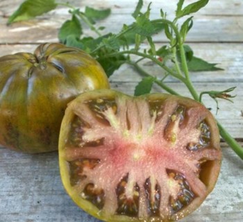 Barred Boar Tomato  5 seeds