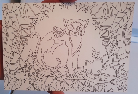 Lemur Postcard you color!